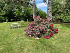 un arbusto de flores en la hierba con una mesa y sillas en Chateau Du Four De Vaux en Varennes Vauzelles