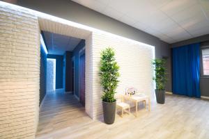 a room with three potted plants and a table at Hostel Filip 2 in Gdańsk