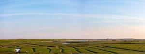 a person standing in the middle of a field at Strandhotel Camperduin in Schoorl