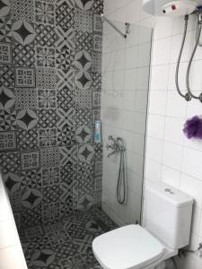 Un baño con ducha y WC. en Home Apartment LUNA 1, en Skopje