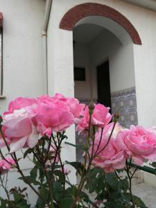 un montón de rosas rosas delante de un edificio en Casa do César Douro Guest House en Tabuaço