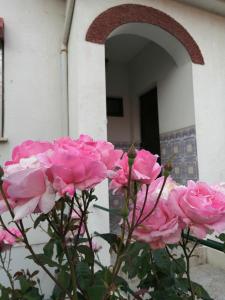 a bunch of pink roses in front of a building at Casa do César Douro Guest House in Tabuaço