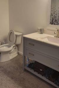 a bathroom with a white sink and a toilet at FLX 1890's Farmhouse in Hector