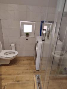 ein Bad mit einem WC und einer Glasdusche in der Unterkunft Bella apartman in Brčko