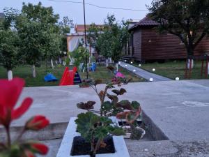 eine Gruppe von Pflanzen in einem Park mit Spielplatz in der Unterkunft Căsuța din livadă in 2 Mai