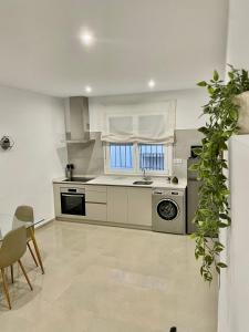 Kuchyň nebo kuchyňský kout v ubytování Apartamento Antonio + 7 fotografií