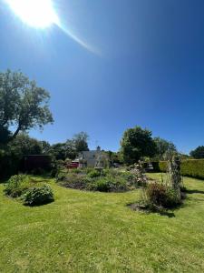 a view of a garden with the sun in the sky at Broadmoor Farm in Kilgetty