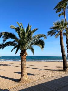 três palmeiras numa praia arenosa com o oceano em Apartamento a 200m de Playa Morrongo em Benicarló