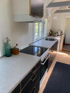 uma cozinha com um lavatório e uma bancada em Hærvejshuset 