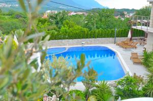 a swimming pool in a garden with chairs around it at Villa Ilijana in Tivat