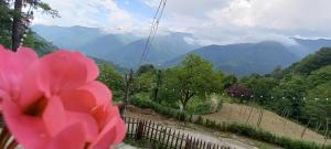 Paesaggio naturale nelle vicinanze di questo campeggio di lusso