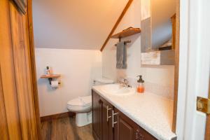 a small bathroom with a toilet and a sink at Charleys Cabin in Nashville +32 photos