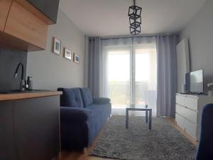 Μια τηλεόραση ή/και κέντρο ψυχαγωγίας στο Apartament Wawa