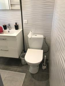 a bathroom with a white toilet and a sink at Studio cocooning avec jardin in Montpellier