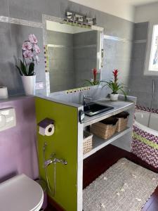 W łazience znajduje się umywalka, toaleta i lustro. w obiekcie Chambre La Soleïade w mieście Six-Fours-les-Plages
