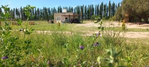 a field of grass with a building in the background at Cabaña de campo La Tabanerina in Salto de las Rosas