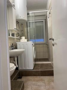 a bathroom with a shower and a toilet and a sink at Stan na dan Milena in Trebinje +6 photos