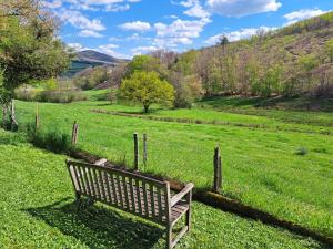 un banco del parque sentado en un campo de hierba en Chambres d'Hôtes Montjouan en Larochemillay