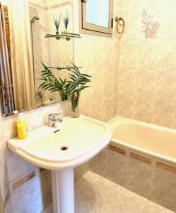 a bathroom with a sink and a tub and a plant at Apartamento Claudio Marcelo, 1 in Córdoba