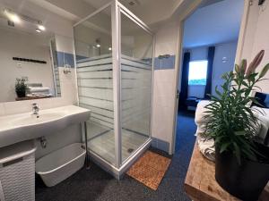 uma casa de banho com um chuveiro, um lavatório e um WC. em Joli Studio avec cuisine 1 lit double de qualité piscine et parking gratuit em Aix-en-Provence