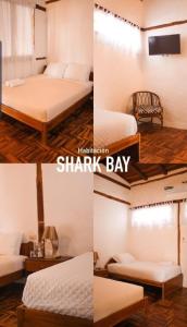 Foto sihtkohas Ayampe asuva majutusasutuse Ayampe Guest House galeriist