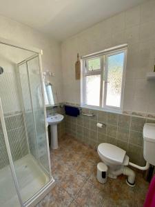 a bathroom with a shower and a toilet and a sink at Lighthouse Farm in Greencastle