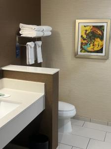 Koupelna v ubytování Fairfield Inn & Suites by Marriott Austin Buda