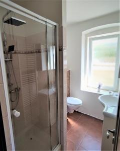 uma casa de banho com um chuveiro, um WC e uma janela. em ApartmentsCarlsbad em Karlovy Vary