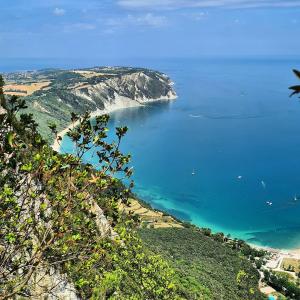 a view of a beach and the ocean from a hill at Dorico Apartment in Ancona