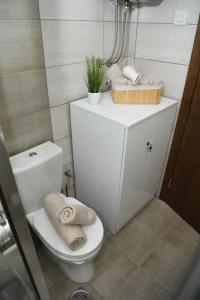 Vannituba majutusasutuses Apartman Zara