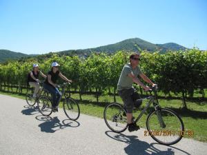 Катання на велосипеді по території Holiday Home Češnovar або околицях