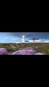 a light house with purple flowers in front of it at Beechwood View in Kilrush