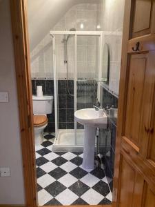 a bathroom with a shower and a sink and a toilet at Beechwood View in Kilrush
