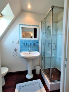 a bathroom with a sink and a shower at La Roselière in Sainte-Colombe
