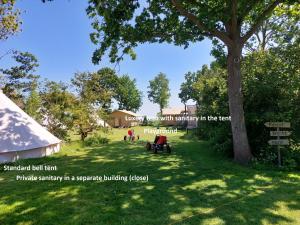 a yard with a tent and a tree at Glamping Essenhof in Aagtekerke