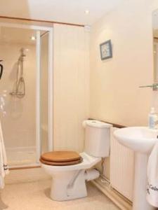 a bathroom with a toilet and a sink and a shower at Paddock Barn ~ Short & Long term stay, pets welcome ~ Woodbridge, Framlingham ar in Cretingham