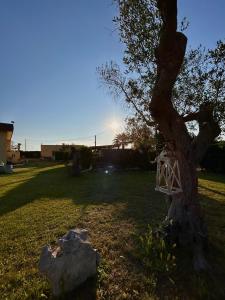 uma árvore com uma casa de pássaro sobre ela em um campo em Casa Vacanze Il Sole em Casamassella