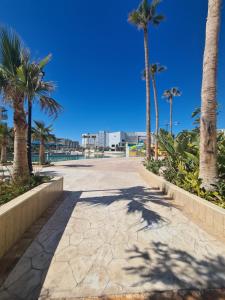 莫納斯提爾的住宿－Palm Lake Resort Folla Monastir vue Piscine，一条种有棕榈树和蓝天的步道