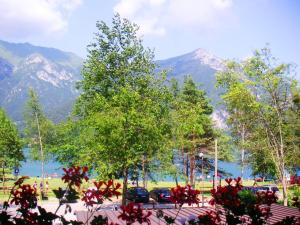 a view of a park with mountains in the background at Casa Nella in Ledro