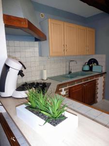 una cocina con fregadero y una barra con plantas en Le Scoubidou, en Perpiñán