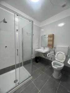 a bathroom with a shower and a toilet and a sink at Roma Palace in Rome