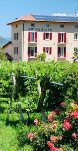 A garden outside Albola Suite Holiday Apartments