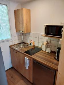 a small kitchen with a sink and a microwave at ZÁTOKA Živohošť - Chaty in Chotilsko