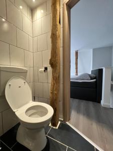 1 dormitorio pequeño y baño con aseo. en Ferienwohnung Neubörger mit Hottub, en Neubörger