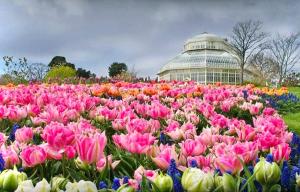 Jardín al aire libre en Gems in Ratoath