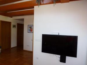 telewizor z płaskim ekranem wiszący na ścianie w obiekcie Apartment Jalps 3 in beautiful Bohinjska Bistrica w Bohinju