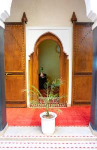 una pianta in vaso seduta nel mezzo di una stanza di Riad Bianca Marrakech a Marrakech
