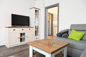 TV a/nebo společenská místnost v ubytování Rodinný apartmán u Broumovského náměstí