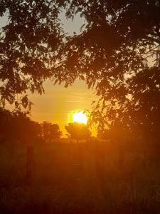 Billede fra billedgalleriet på Chozas del Estero i Santiago del Estero + 16 billeder