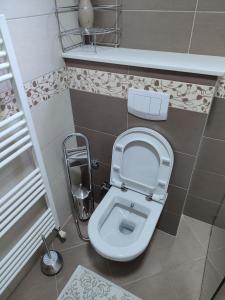 een badkamer met een toilet met de bril omhoog bij Sarajevo Paradise in Sarajevo